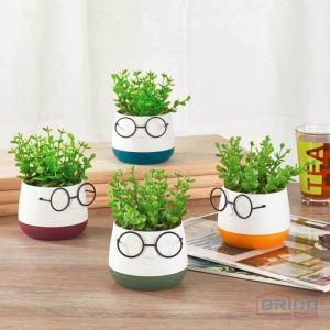 Fleurs artificielles en pot ( lunettes )