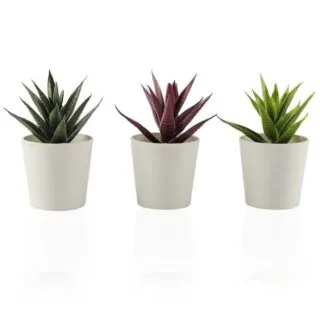 Lot de 3 mini plantes artificielles
