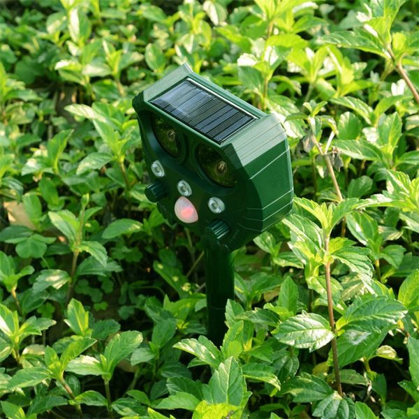 Répulsif solaire ultrasonique pour animaux, répulsif d'extérieur pour jardin, souris, capteur PIR, oiseau, chat, chien, chauve-souris