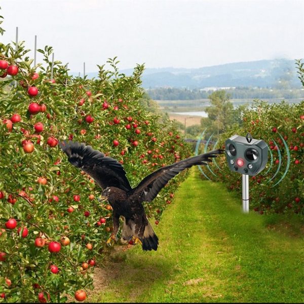 Répulsif solaire ultrasonique pour animaux, répulsif d'extérieur pour jardin, souris, capteur PIR, oiseau, chat, chien, chauve-souris
