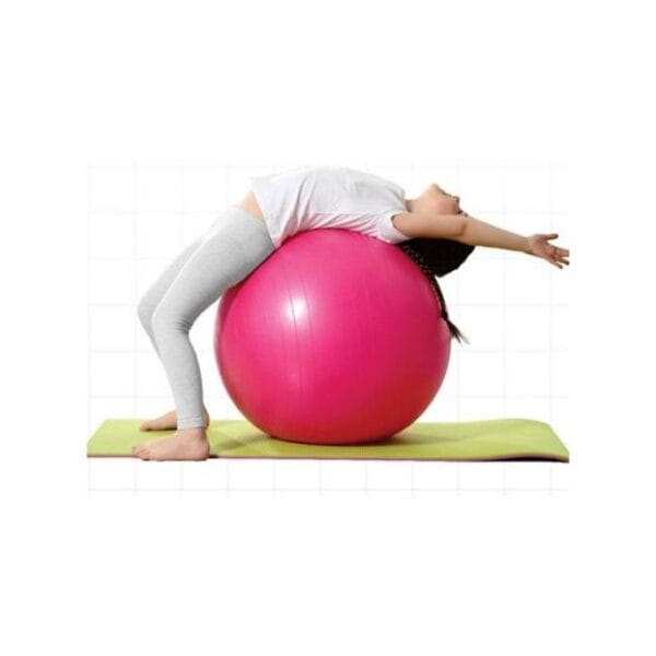 Swiss gym ball 75 CM