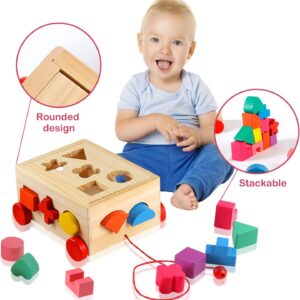 Jouets camion trieur de forme éducatifs en bois