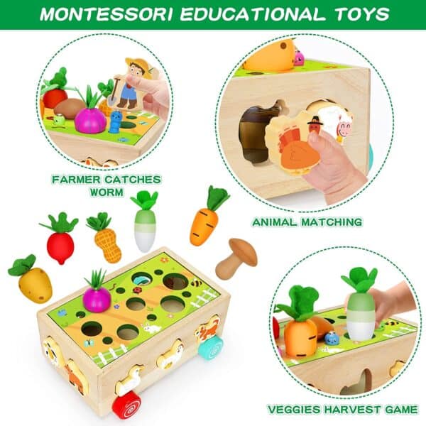 Jouets camion trieur de forme éducatifs en bois