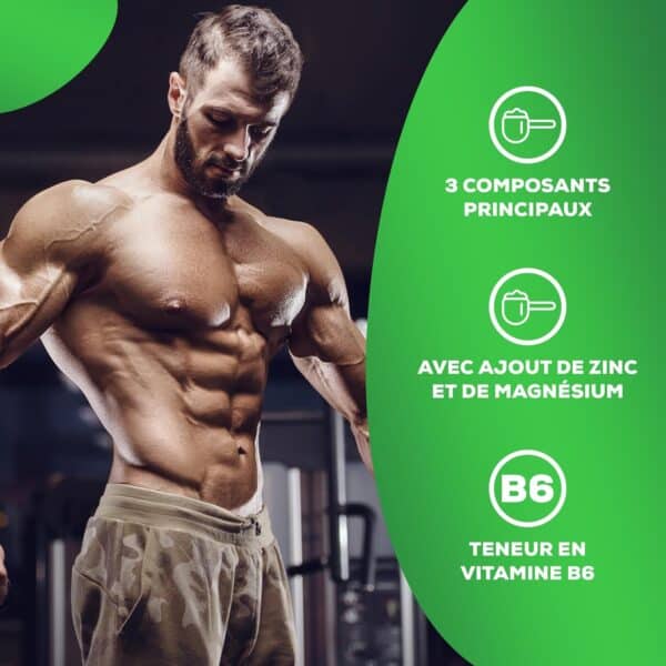 BioTechUSA ZMB 60 capsules