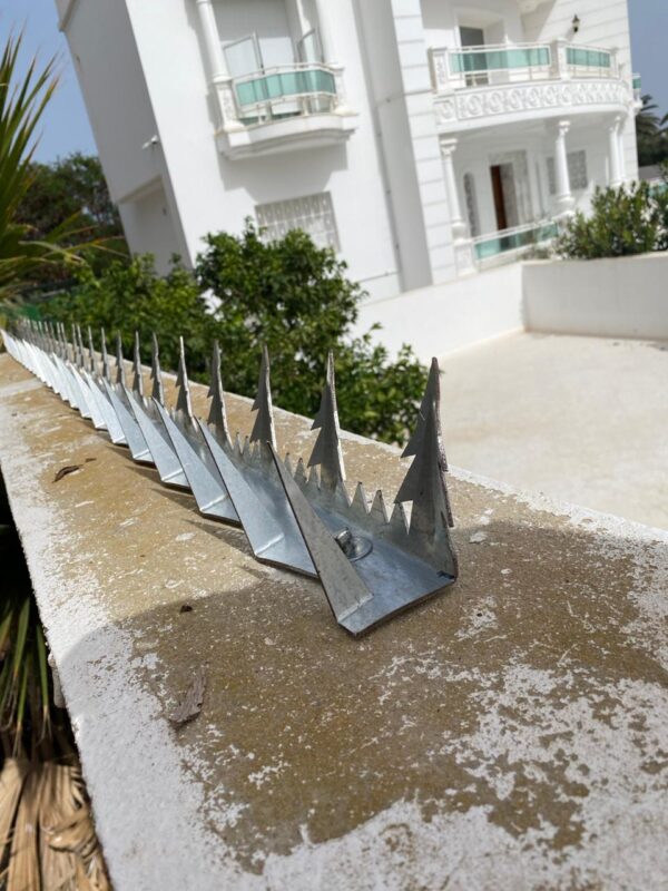 Pointes anti intrusion EPINOCHE