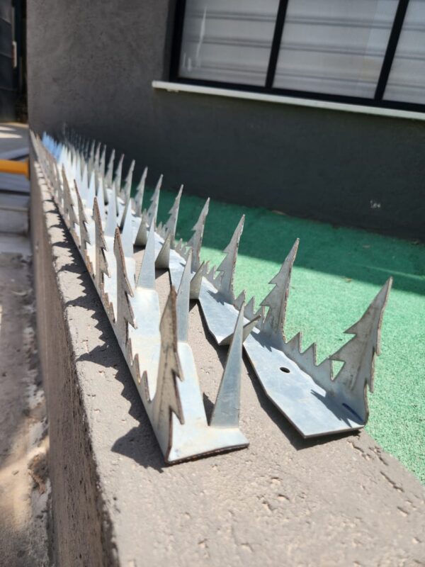 Pointes anti intrusion EPINOCHE
