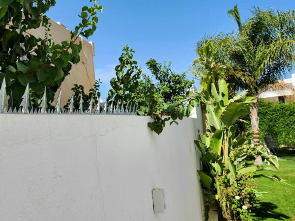 Pointes anti intrusion EPINOCHE