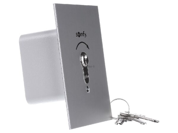 Sélecteur a clé encastrée SOMFY