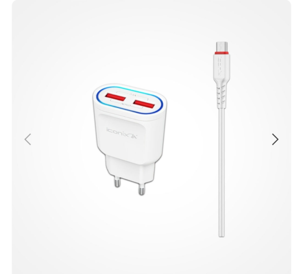 Chargeur Modèle IC-HC1022