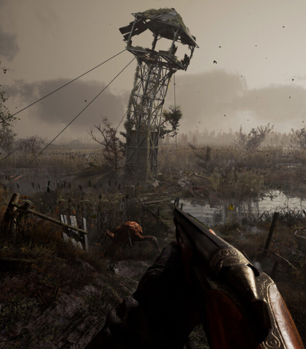S.T.A.L.K.E.R. 2: Heart of Chornobyl Ultimate Edition