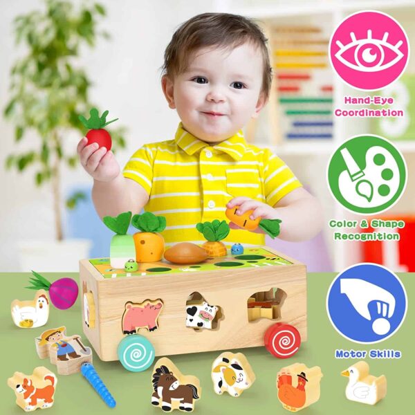 Jouets camion trieur de forme éducatifs en bois