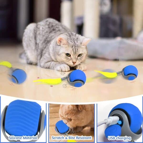 Balle interactive pour chien et chat